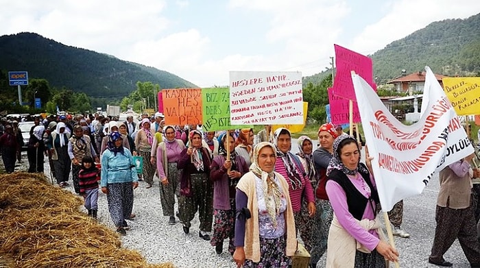 Çenger Çayı’na Yapılmak İstenen 3 HES Projesi İçin Binlerce Ağaç Kesilecek