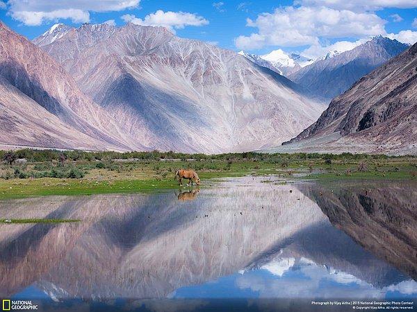 19. Ladakh Bölgesi, Himalayalar