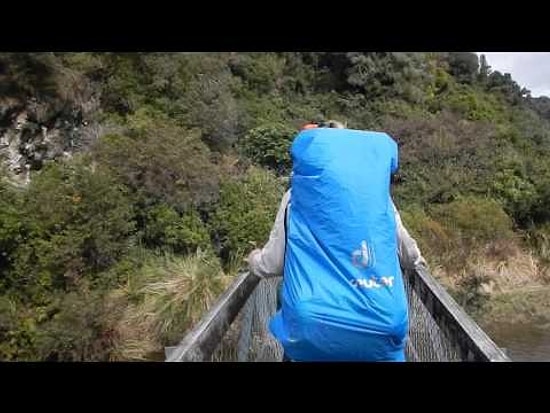 Yeni Zelanda'da Köprünün Çökmesiyle Fransız Grup 8 Metreden Aşağı Düştü