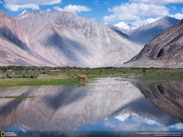 19. Ладакх, Гималаи