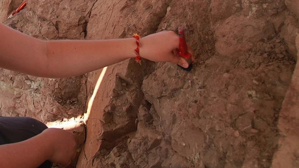 250 Milyon Yıllık Uçan Sürüngen Fosili Bulundu