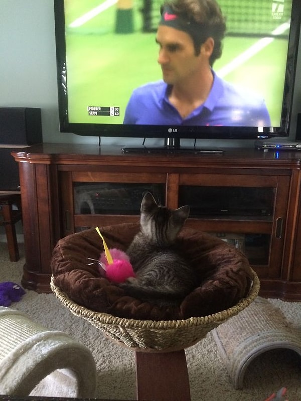 28. ''Федерер нереально крут!''