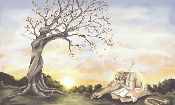12. Apollon sevdiği kıza sarılmak isterken bu Defne ağacına çarpınca şaşırır.
