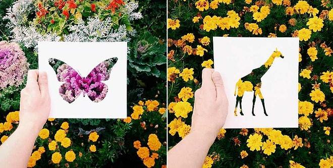 Kağıttan Hayvan Silüetlerinin Doğanın Renklerine Bulandığı 15 Muazzam Fotoğraf