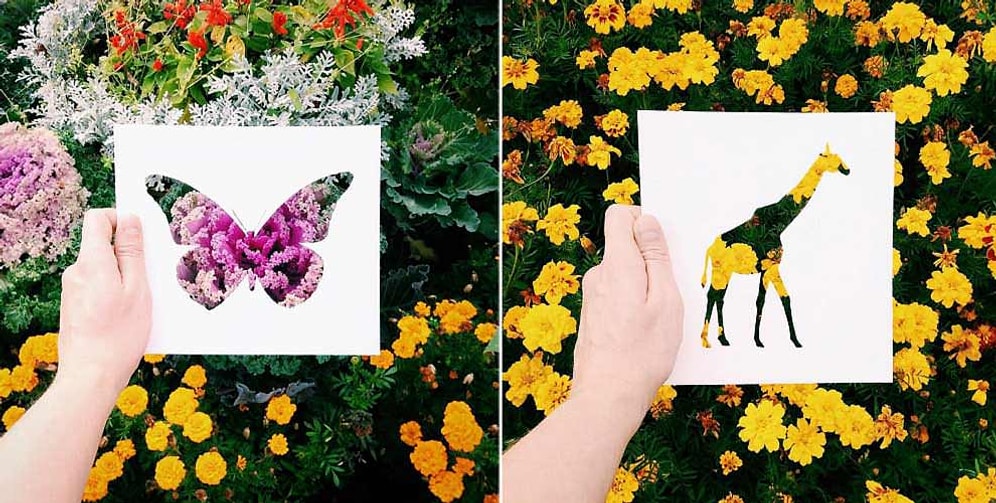 Kağıttan Hayvan Silüetlerinin Doğanın Renklerine Bulandığı 15 Muazzam Fotoğraf