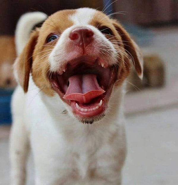 1. Жизнь коротка, нужно чаще улыбаться!