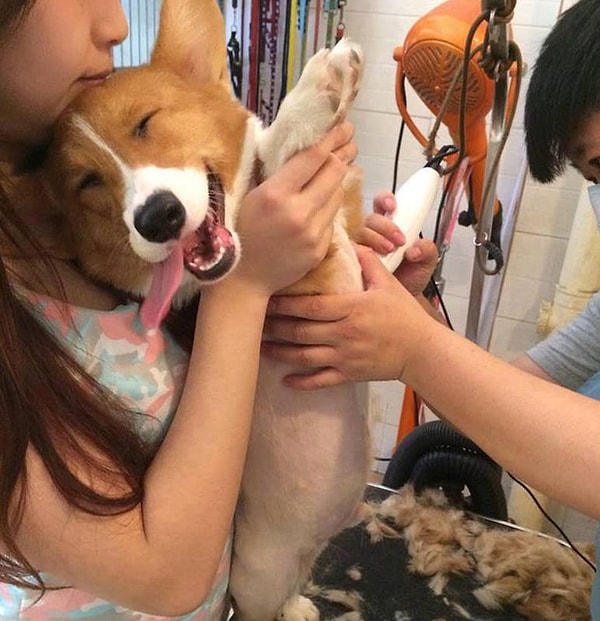 17. Ой, перестаньте, я щекотки боюсь!