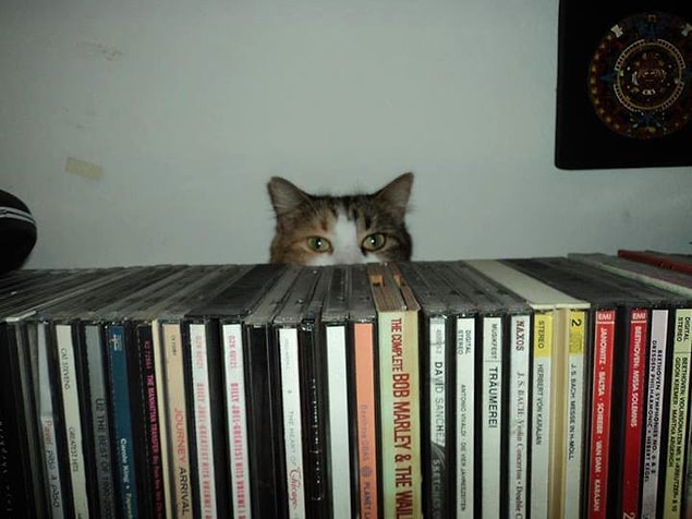 19.