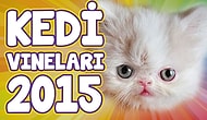 En Komik Kedi Vine Videoları 2015 - Komik Kediler