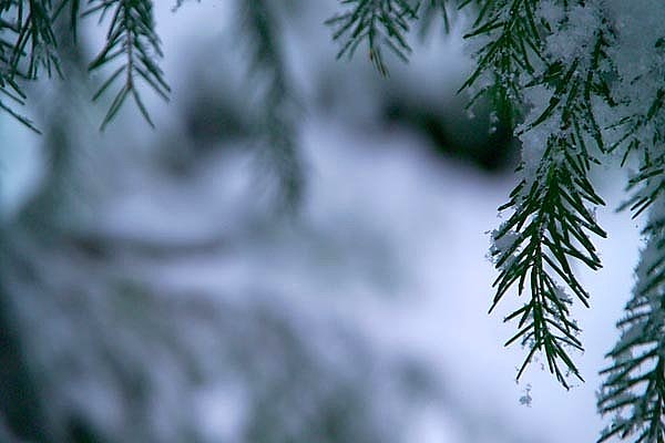 22-31 Декабря