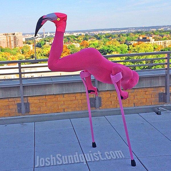 2013 yılında ise bu kostüm, muhteşem bir flamingo olmuş.