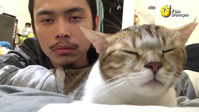 Drake'in 'Hotline Bling' Şarkısının Ritmiyle Moda Giren Kedi