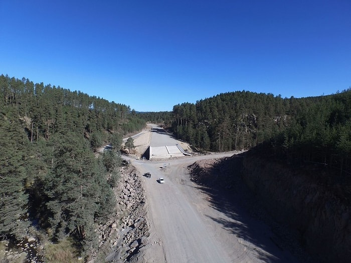 Bolu'ya Yeni Turizm Alanı Dediler, Yol Genişletmek İçin Ağaçları Kestiler