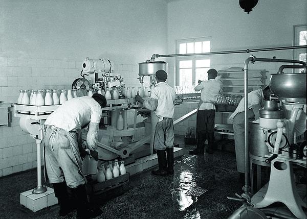 18. Atatürk Orman Çiftliği Pastörize Süt Fabrikası, çalışanlar, 1939