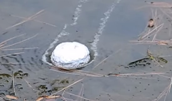 Gölete Büyük Bir Sodyum Yığını Atılırsa Ne Olur?