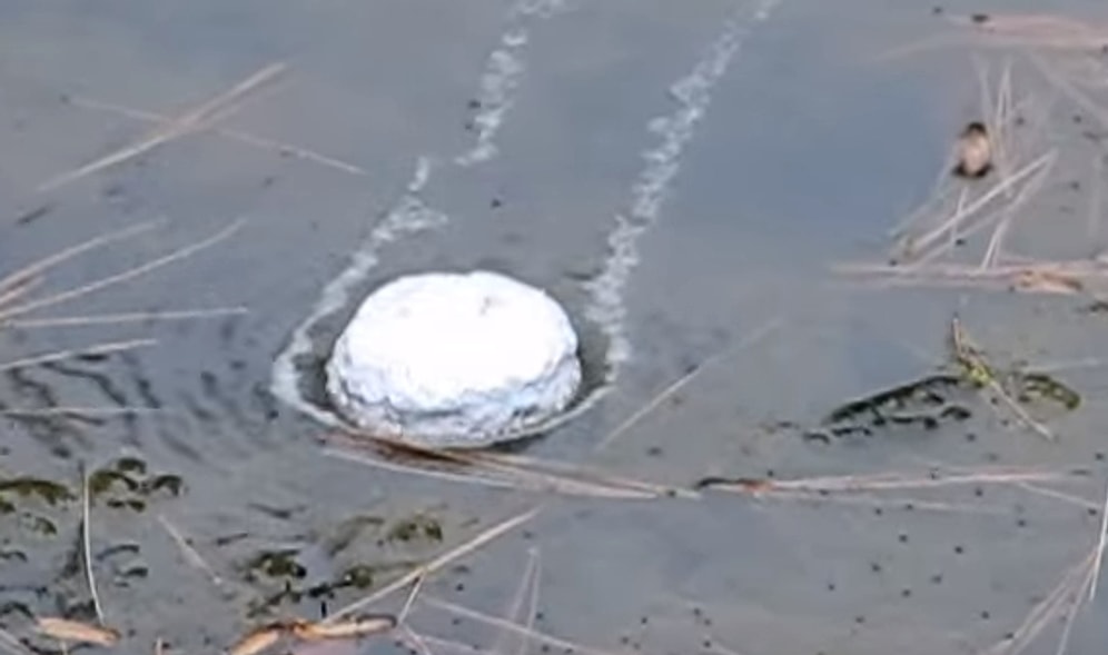 Gölete Büyük Bir Sodyum Yığını Atılırsa Ne Olur?