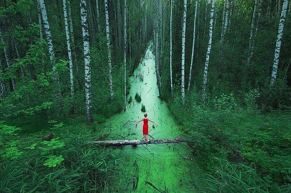 22. Uçsuz bucaksız Rusya ormanları