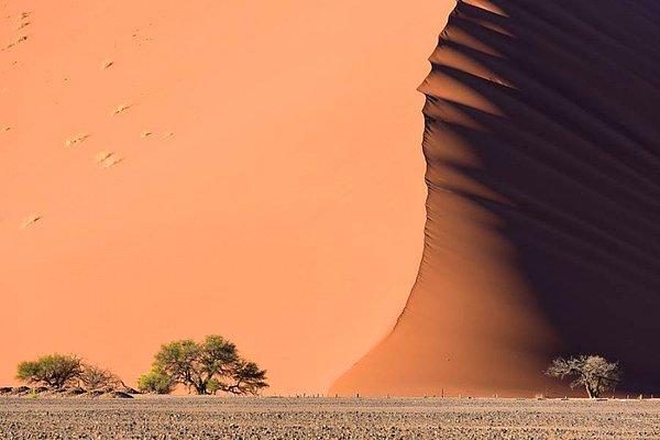 24. Namib Çölü, Afrika