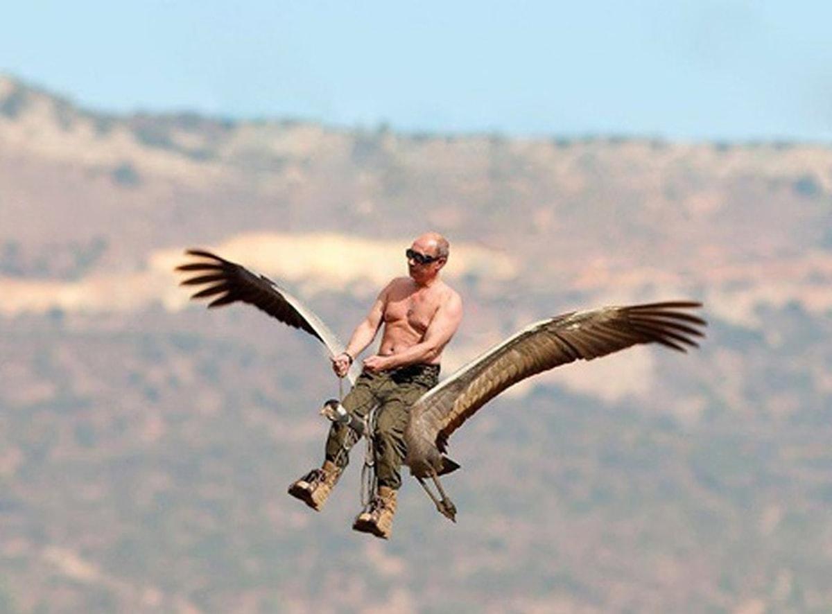 Полёт Путина со стерхами