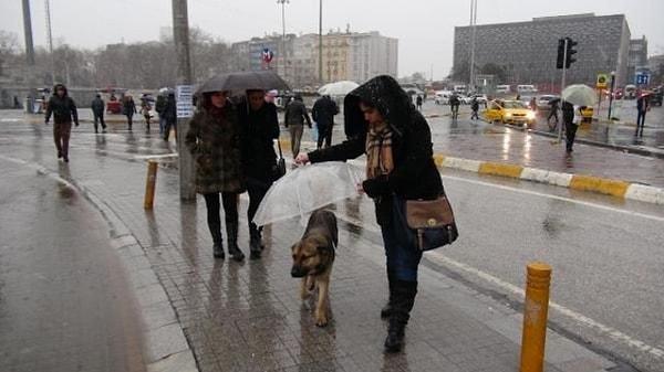 3. Taksim Meydanı'nda yağmur ve kar altında kalıp üşüyen köpeğin yardımına genç bir kadın böyle yetişiyor.