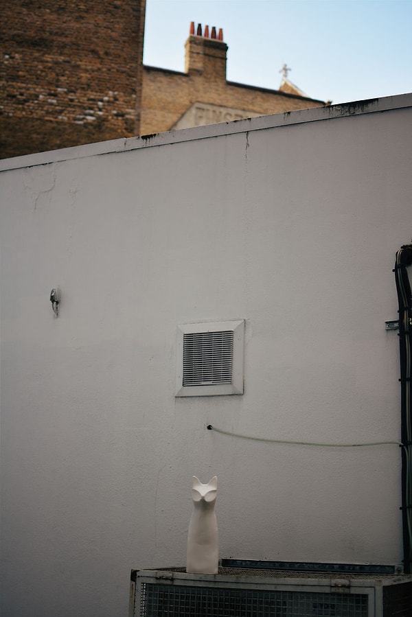 Где-то в Лондоне прячется одна из лис.