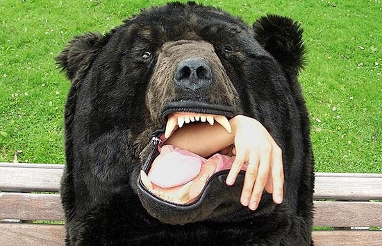 Kış Uykusuna Hazırlanıyoruz: Ayı Kılığına Gireceğiniz Uyku Tulumu!