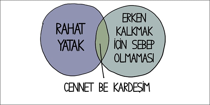 Uykuyu Hayatının Aşkını Bulmuş Kadar Çok Seven İnsanları Anlatan 12 Grafik