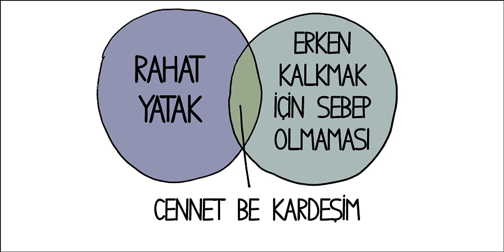 Uykuyu Hayatının Aşkını Bulmuş Kadar Çok Seven İnsanları Anlatan 12 Grafik