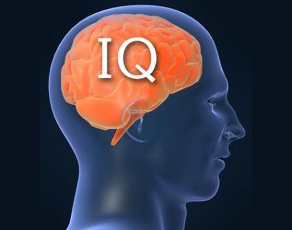 3. IQ: Sayısalcıların sözelcilere göre IQ'su yani zeka katsayısı daha yüksektir. Analitik düşüncenin bir getirisidir bu. IQ'nun bir kısmı genetikten gelir, bir kısmı da geliştirilebilir. Sayısalcılar bunda daha ehildir.