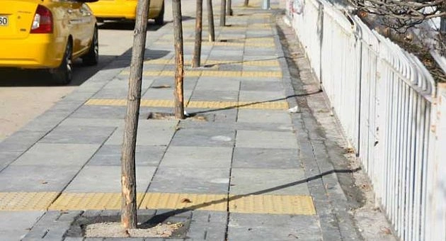 Hangimiz Engelliyiz?