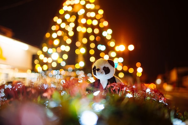 Рождественская панда.