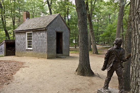 ''Uzaklarda Kalan'' Doğa Adamı, Yazar, Şair ve Filozof : Henry David Thoreau