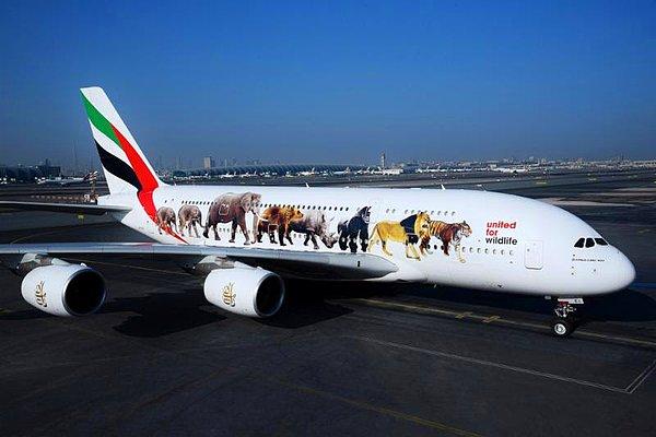 14. Emirates - Vahşi Yaşam