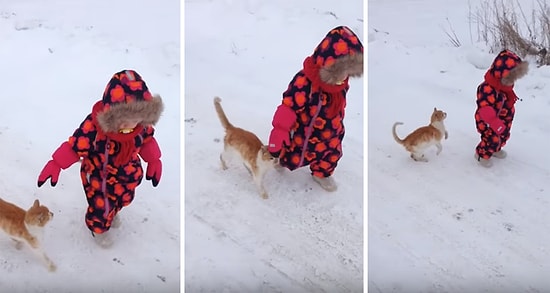 Kendini Sevdirmek İçin Ufaklığı Yere Seren Kurnaz Kedi