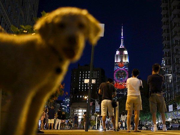 2. Nesli tükenme tehlikesiyle karşı karşıya olan canlılarla ilgili Empire State Binası üzerine yansıtılan görüntüleri izleyen insanların yanından geçen köpek, 1 Ağustos 2015.