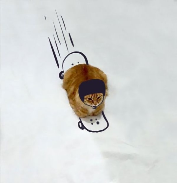 На скейтборде