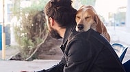 Köpek Besleyen Bir Erkekle Birlikte Olmanız İçin 23 Harika Sebep
