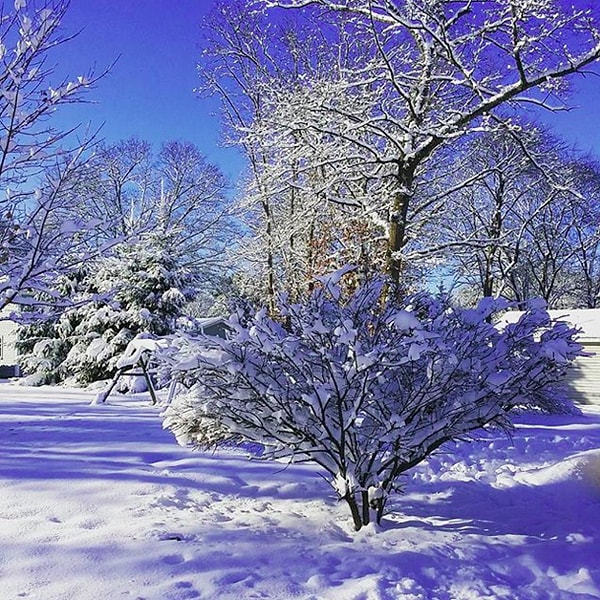 Или, к примеру, наслаждаясь более приятным глазу видом… СНЕГА!