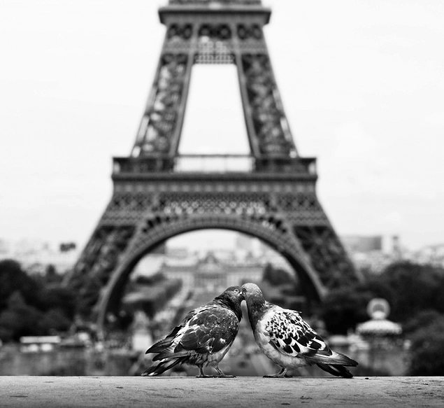 Aşkın şehri Paris.