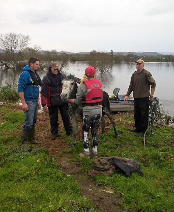 «Наш ветеринар осмотрел его и назначил курс антибиотиков, чтобы предотвратить заболевание животного пневмонией».