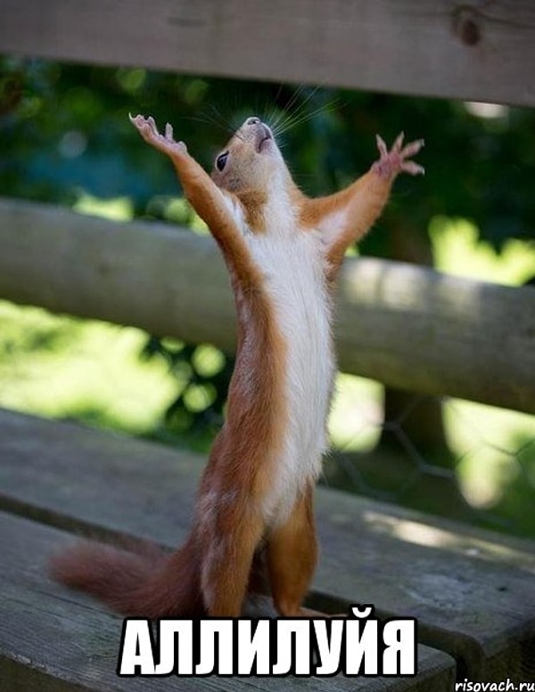 9. Когда наконец-то вытащил из зубов застрявший там на веки кусочек пищи.