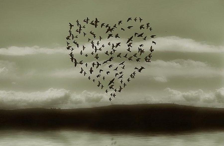 Я строю мысленно мосты их. Сердце из птиц. Дарю тебе себя. Ты мне нужен как воздух картинки. Я дарю тебе себя.