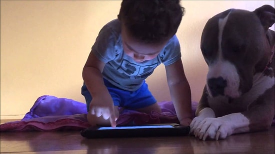 iPad ile Oynamaya Çalışan Küçük Arkadaşının İlgisini Çekmeye Çalışan Sevimli Köpek