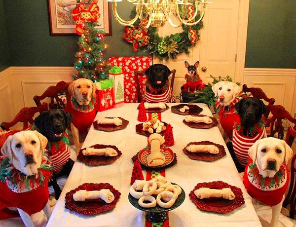 Yeni yıl kutlamalarında ''çocuklara özel'' bir masa kurmaya karar vermişler; fakat minnoş köpekleri ve onun arkadaşları için.
