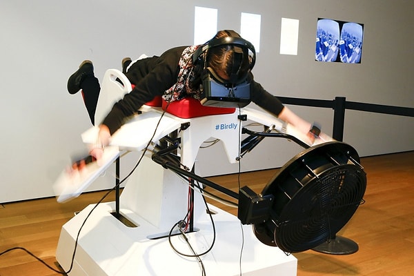 16. Симулятор полетов “Birdy” был продемонстрирован на выставке "Animated Wonderworlds" в музее дизайна, Цюрих.