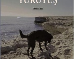 2. Ayhan Geçgin - Uzun Yürüyüş