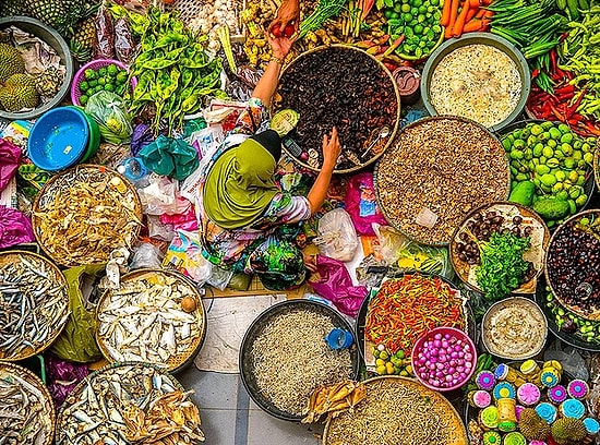 40 лучших снимков уходящего года от National Geographic