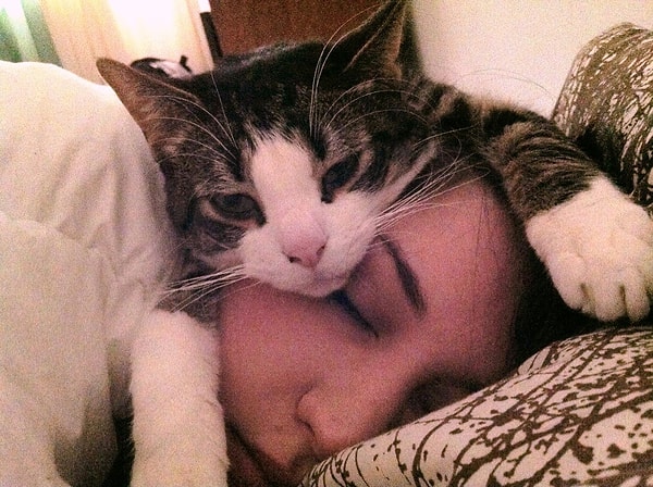 8. Сон в принципе.