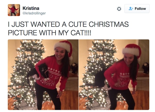 11. Сделать "семейную" фотографию.