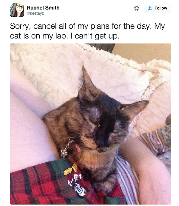 21. Когда на тебе спит кот, а тебе пора вставать с дивана.